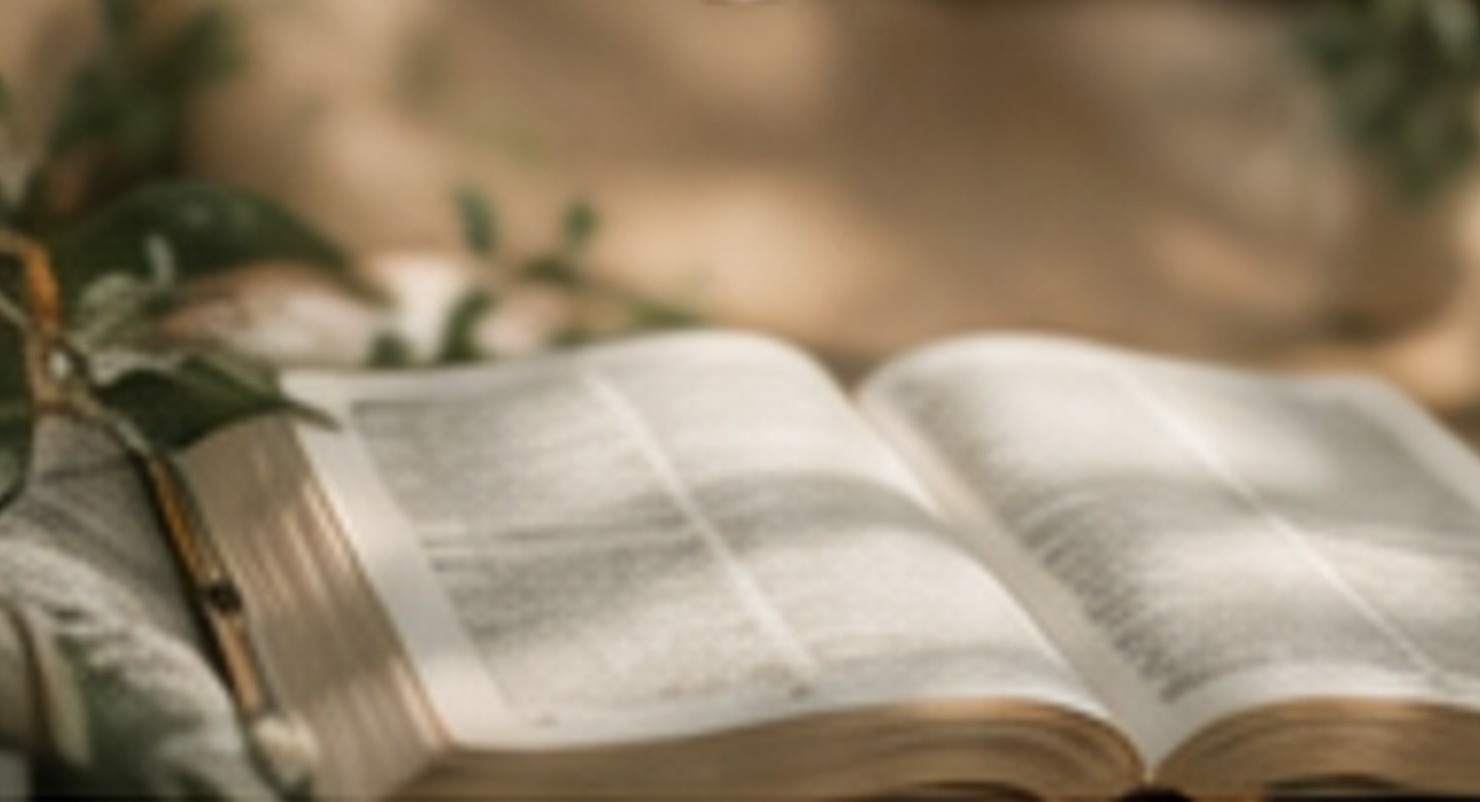 An open Bible representing truth.